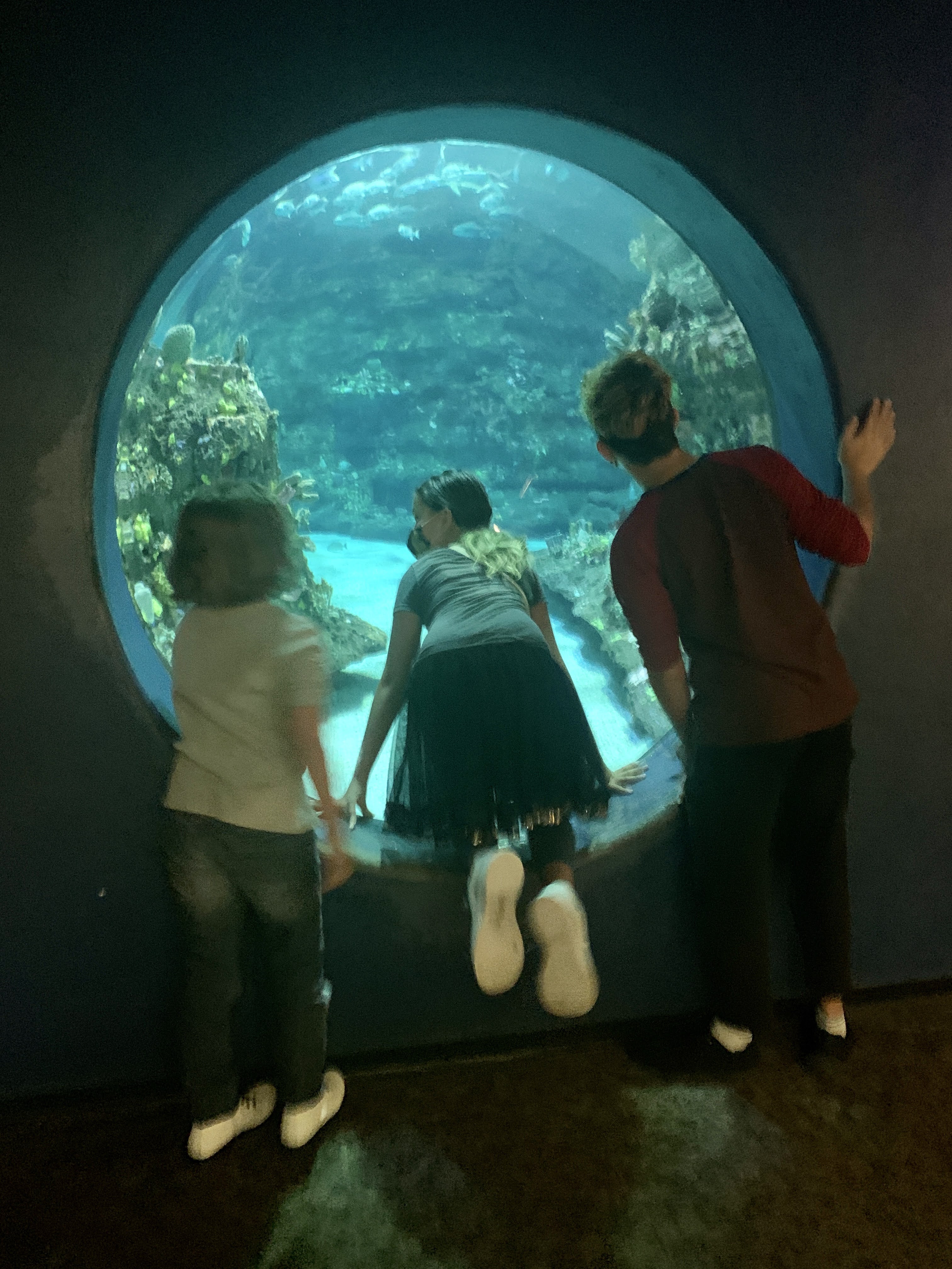 aquarium